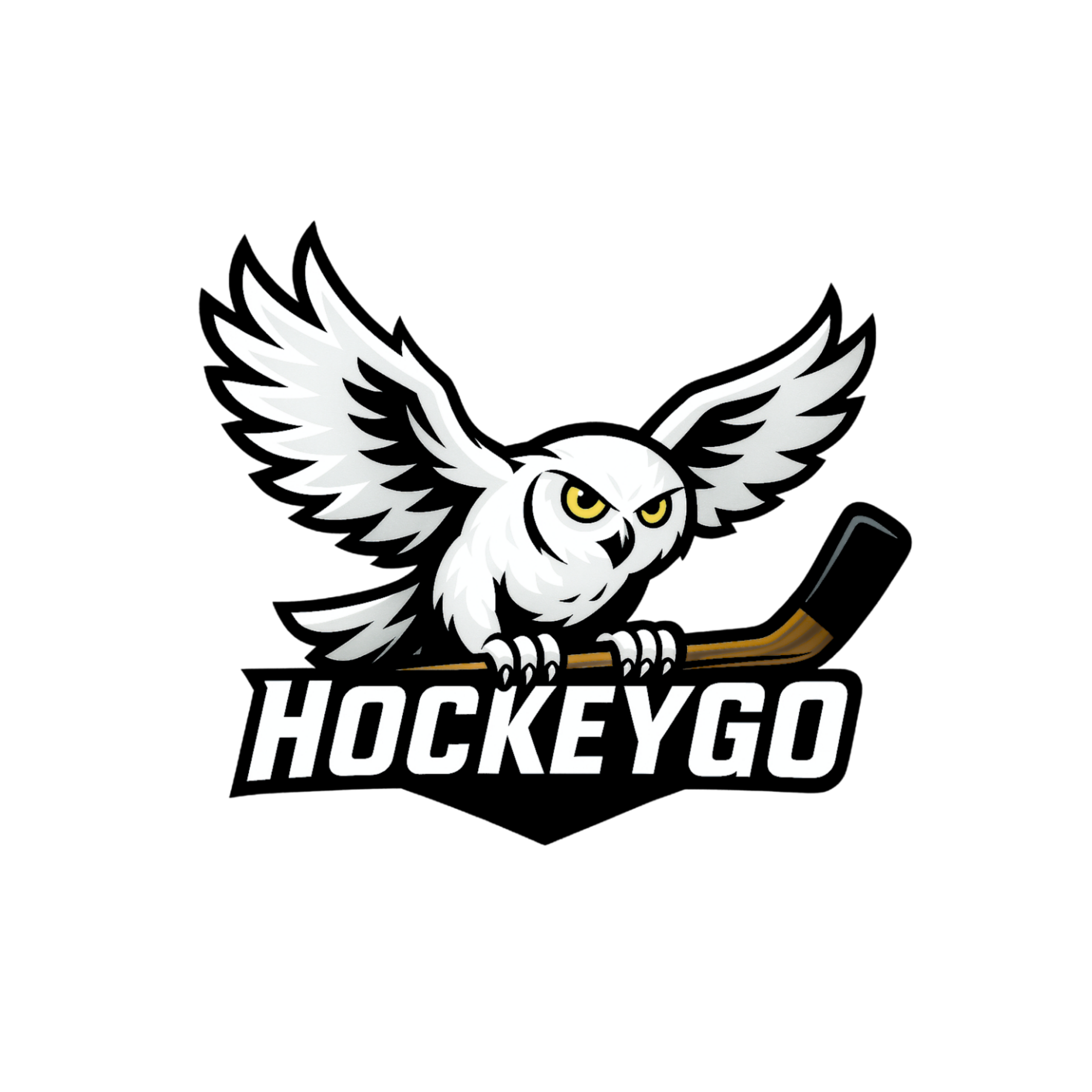 Logo Officiel HockeyGO
